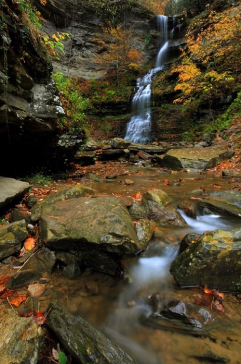 CATHEDRAL FALLS   Gauley Bridge, WV
