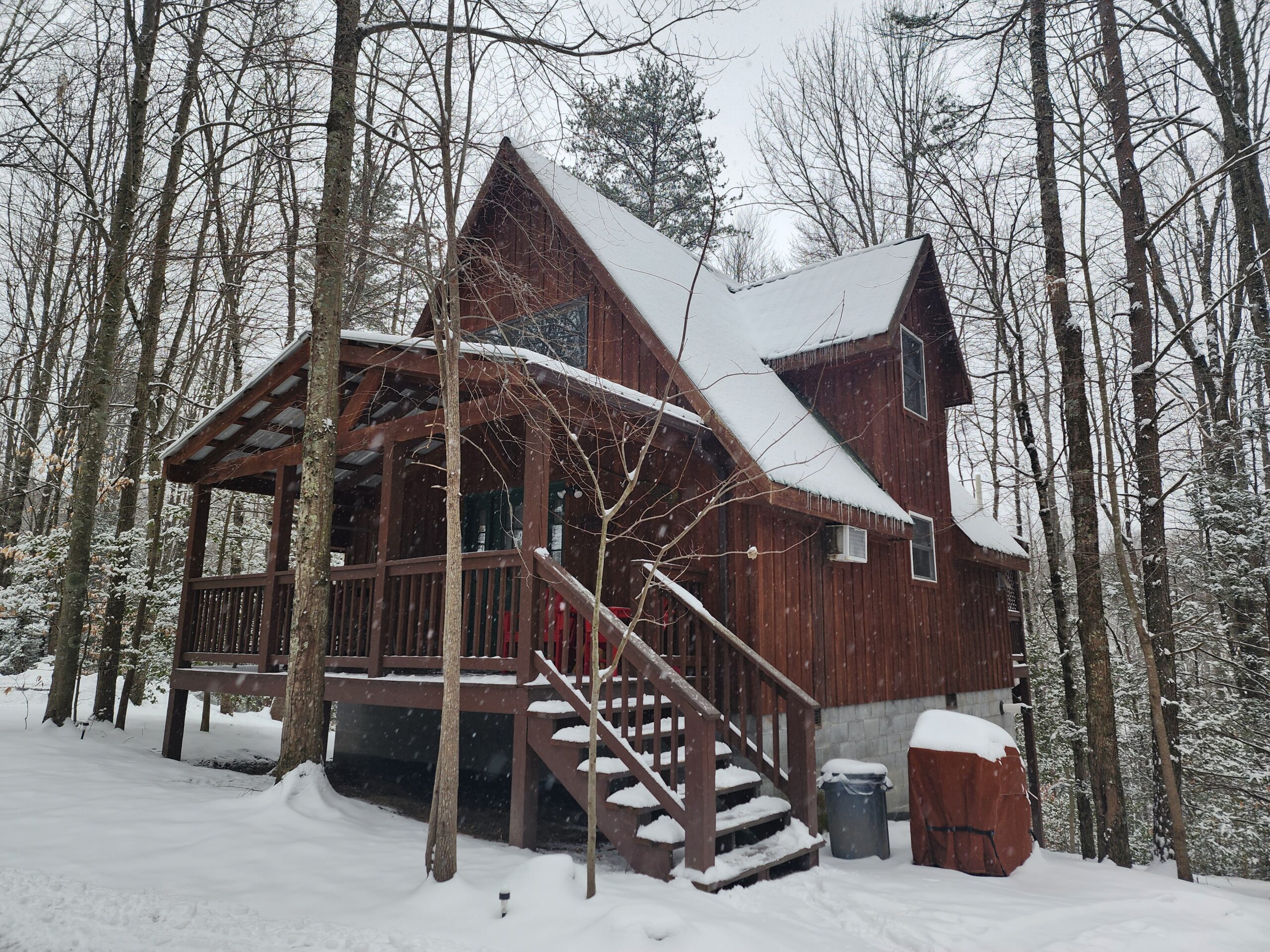 Winter Cabin Special
