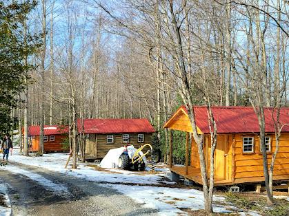 Tiny Cabins